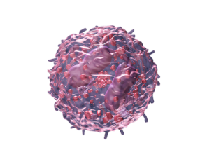 EOSINOPHIL