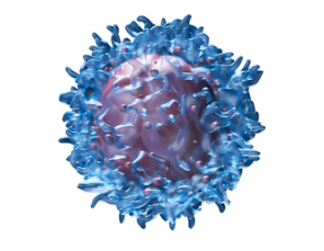 NK-CELL